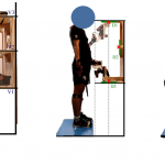 Estimation of whole-body muscular activation from an optimal set of scarce electromyographic recordings